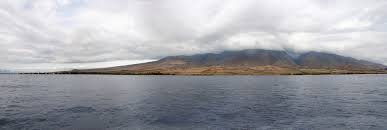 Big Bog op Maui in Hawaï is één van de natste plekken op aarde