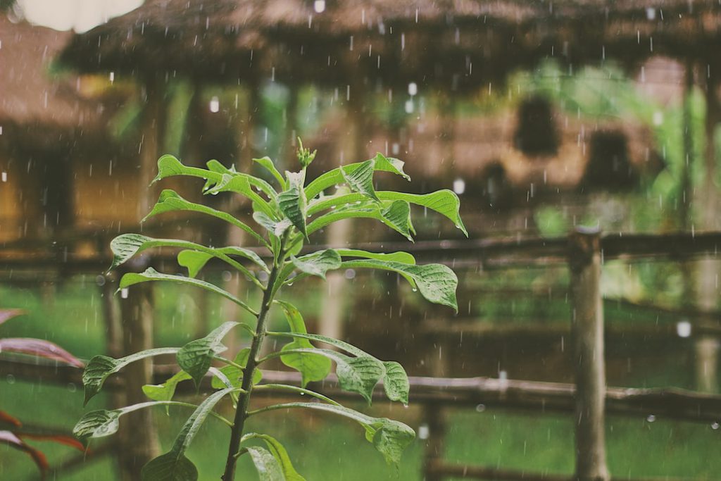 3 tips om te genieten van de regen 9