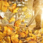 Met dit tuingereedschap wordt het bijhouden van de tuin een stuk makkelijker 17