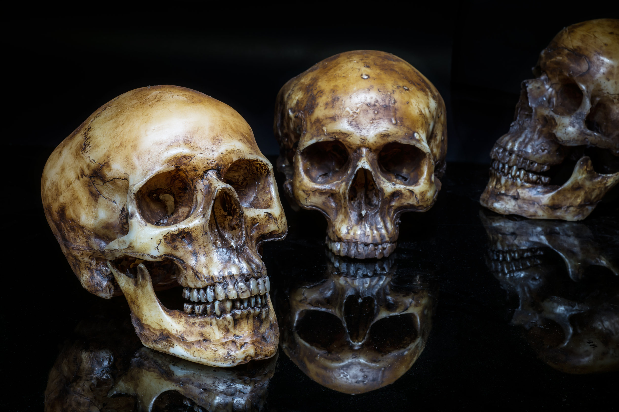 Visser in Zuid-Holland vindt vuilniszak vol met menselijke schedels 16