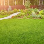Geef je tuin een frisse start: Ontdek de gemakken en voordelen van graszoden 16