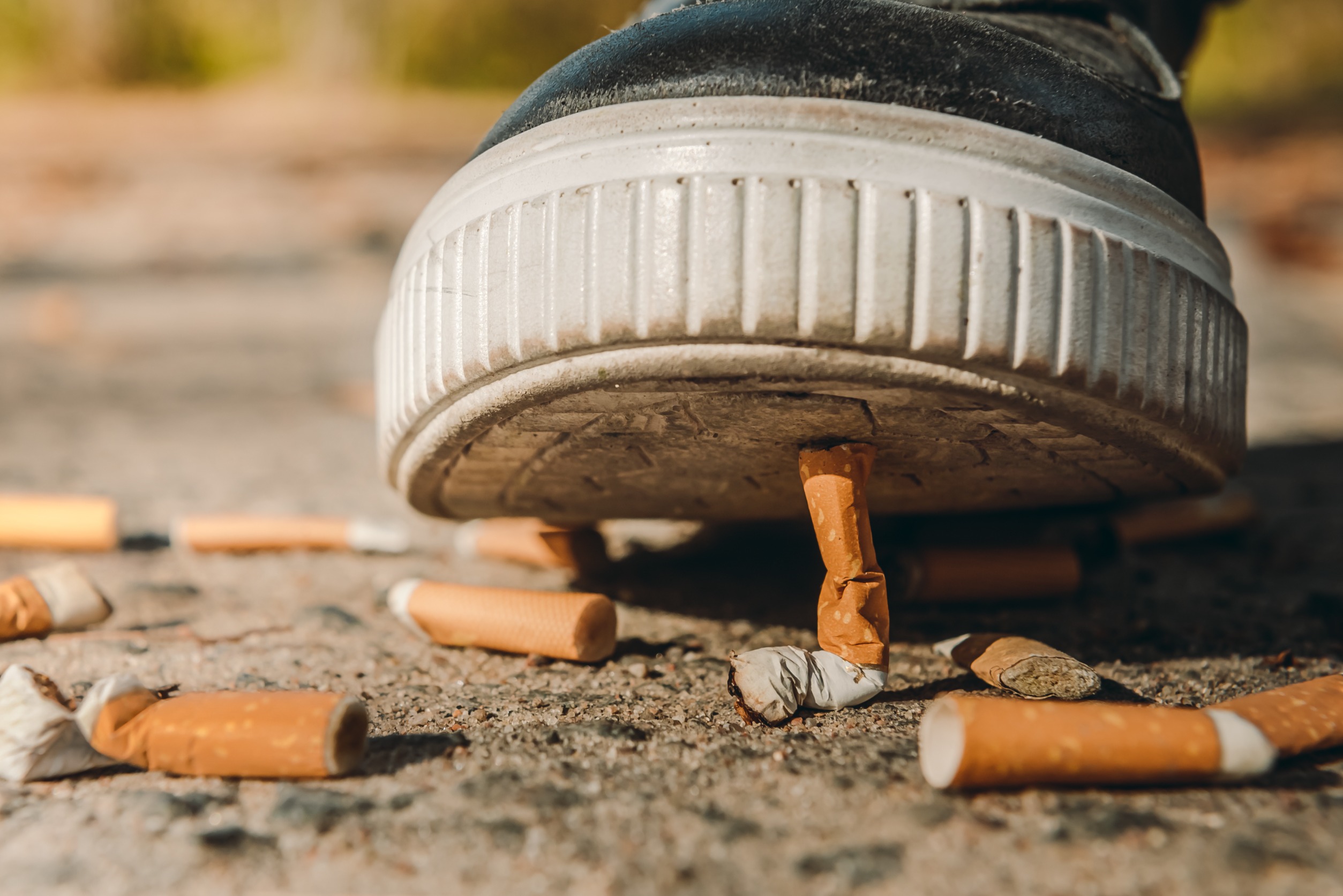 Wat is de boete voor het weggooien van een sigarettenpeuk of afval op straat? 19