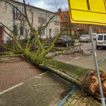 stormschade