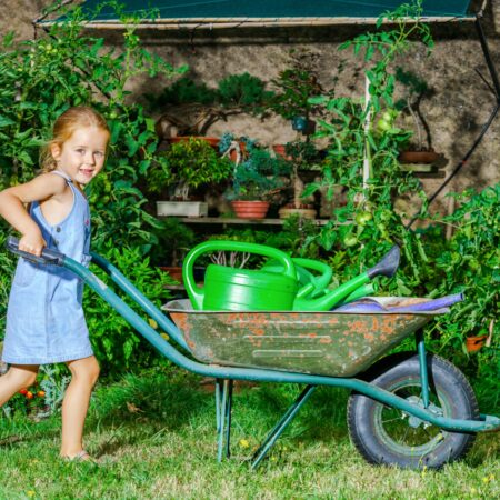 Nederlandse huishoudens kiezen vaker voor een groene tuin 25