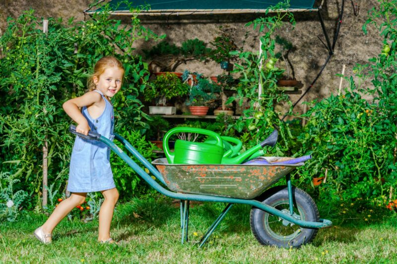 Nederlandse huishoudens kiezen vaker voor een groene tuin 24