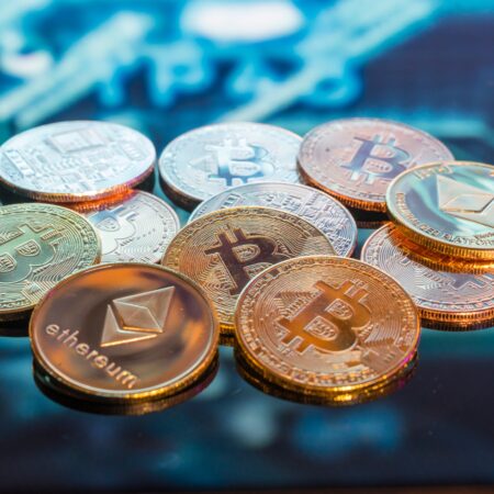 Investeren in nieuwe versus gevestigde cryptomunten 25