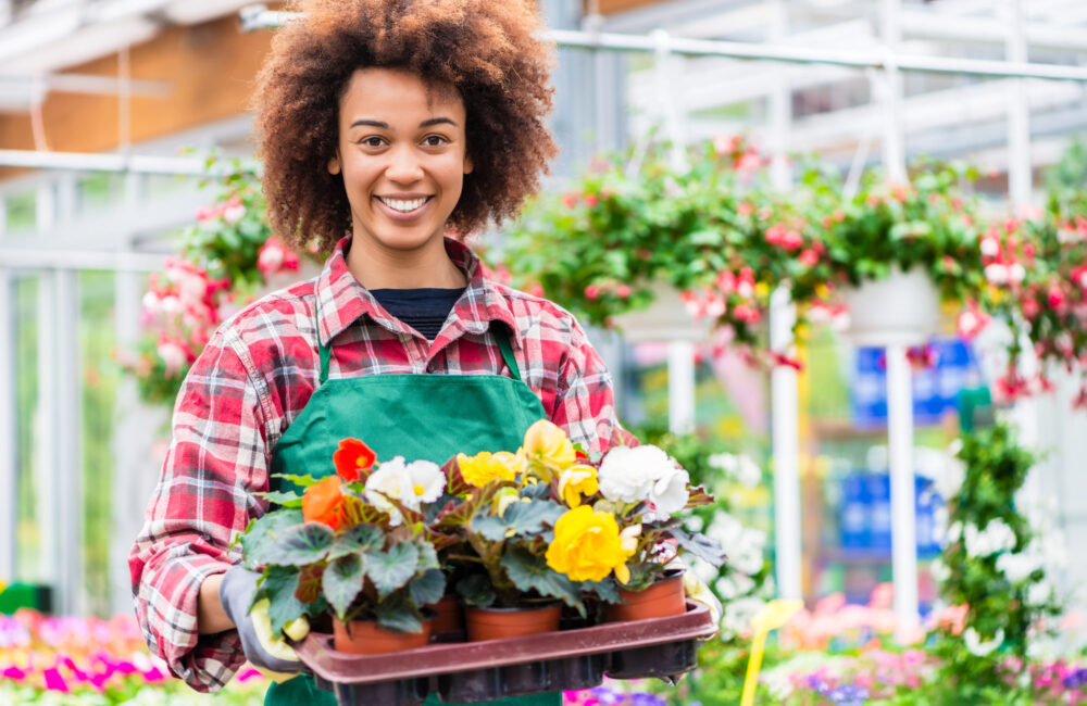 Wat je kunt verwachten in een goede tuinwinkel 12