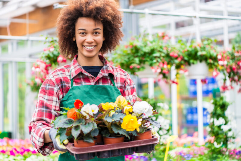 Wat je kunt verwachten in een goede tuinwinkel 20